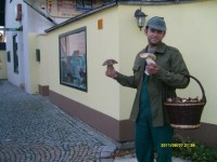 /album/apartman-retro-krkonose/houby-jpg/